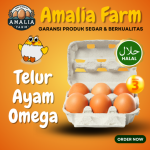 Telur Omega