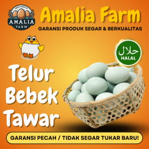 Telur Bebek