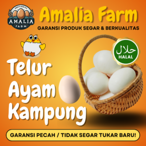 Telur Ayam Kampung