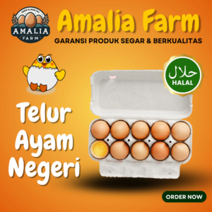 Telur Ayam Negeri